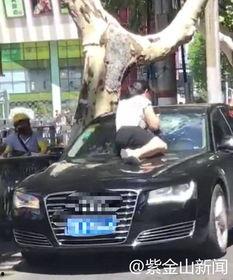 大众吃瓜视频,热门话题背后的真相与笑料 第2张 大众吃瓜视频,热门话题背后的真相与笑料 第2张