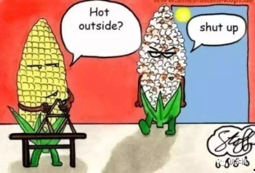 吃瓜搬板凳视频教程全集,轻松掌握瓜界潮流技巧  第2张