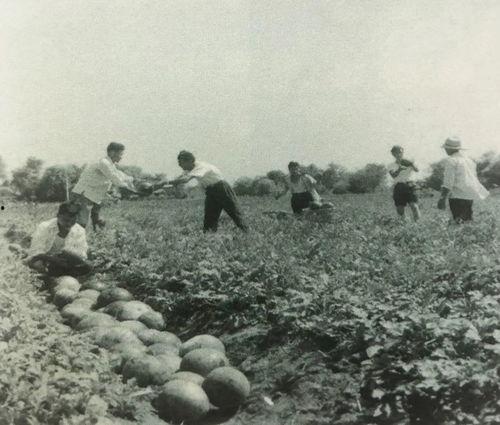 抗美援朝吃瓜群众视频,吃瓜群众的视角见证历史 第3张 抗美援朝吃瓜群众视频,吃瓜群众的视角见证历史 第3张