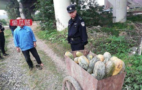 福建古茗吃瓜事件视频,一场网络争议的发酵与反思 第2张 福建古茗吃瓜事件视频,一场网络争议的发酵与反思 第2张