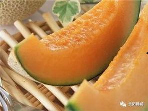 大汉吃哈密瓜视频,舌尖上的西域风情 第3张 大汉吃哈密瓜视频,舌尖上的西域风情 第3张