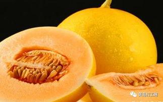 吃蜜瓜助眠视频播放下载,轻松一招助你一夜好眠 第2张 吃蜜瓜助眠视频播放下载,轻松一招助你一夜好眠 第2张