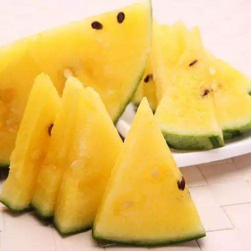 金翅瓜如何吃才好吃视频,视频教你如何烹饪出最佳口感  第1张