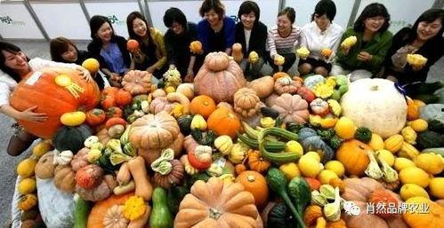 大神 吃瓜视频大全,大神吃瓜视频大全,带你领略网络娱乐新风尚 第2张 大神 吃瓜视频大全,大神吃瓜视频大全,带你领略网络娱乐新风尚 第2张