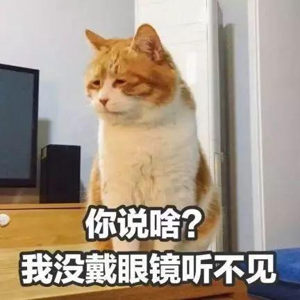 小呆瓜吃南瓜好吗视频大全,视频大全精选回顾 第2张 小呆瓜吃南瓜好吗视频大全,视频大全精选回顾 第2张