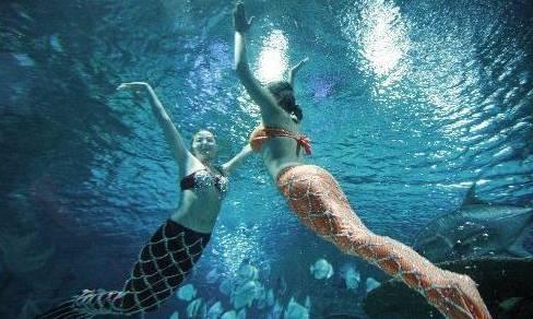 上海美人鱼吃瓜事件视频,网络热议的神秘视频揭秘  第3张