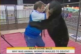 饲养员喂狗熊吃瓜视频下载,饲养员与狗熊共享甜蜜时光  第3张