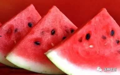 扬州戴珞吃瓜视频,揭秘网红美食背后的故事 第2张 扬州戴珞吃瓜视频,揭秘网红美食背后的故事 第2张