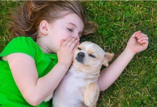 小孩吃瓜狗吃虫视频播放,小瓜瓜与狗狗的虫虫盛宴  第3张