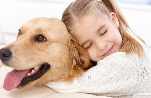 宠物吃贝贝瓜好吗视频,揭秘贝贝瓜对宠物的益处与食用建议