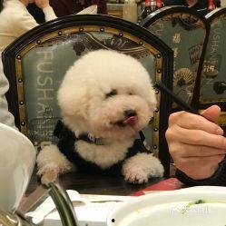 宠物吃贝贝瓜好吗视频,揭秘贝贝瓜对宠物的益处与食用建议 第2张 宠物吃贝贝瓜好吗视频,揭秘贝贝瓜对宠物的益处与食用建议 第2张