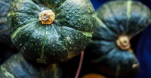 这个世界真实的吃瓜视频,一场视觉与味蕾的双重盛宴