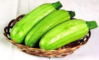 大象吃哈密瓜南瓜视频播放,哈密瓜与南瓜的味蕾盛宴 第3张 大象吃哈密瓜南瓜视频播放,哈密瓜与南瓜的味蕾盛宴 第3张