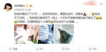 主播吃小胖瓜视频下载,视频下载见证美味瞬间  第2张