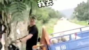 摩托车吃瓜视频,揭秘网络热传视频背后的故事  第1张