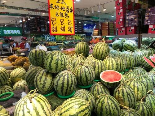 温州花店吃瓜视频,一场花店里的欢乐盛宴  第2张