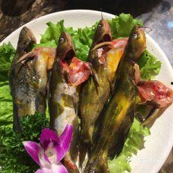 昆明正义坊视频吃瓜,一场视觉与味蕾的双重盛宴  第1张