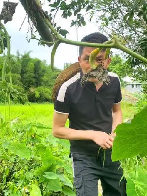 农村吃瓜大妈视频,揭秘乡村生活趣味瞬间 第2张 农村吃瓜大妈视频,揭秘乡村生活趣味瞬间 第2张