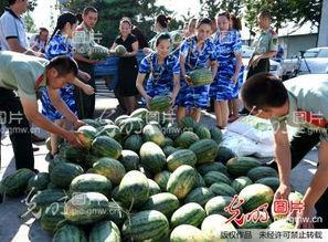 安徽定远吃瓜事件视频,一场网络热议的真相追踪 第2张 安徽定远吃瓜事件视频,一场网络热议的真相追踪 第2张