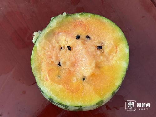 丽水网红吃瓜事件视频,一场网络狂欢背后的真相揭秘 第3张 丽水网红吃瓜事件视频,一场网络狂欢背后的真相揭秘 第3张