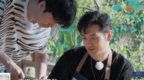 何老师黄磊吃瓜视频,娱乐圈幕后趣事大揭秘