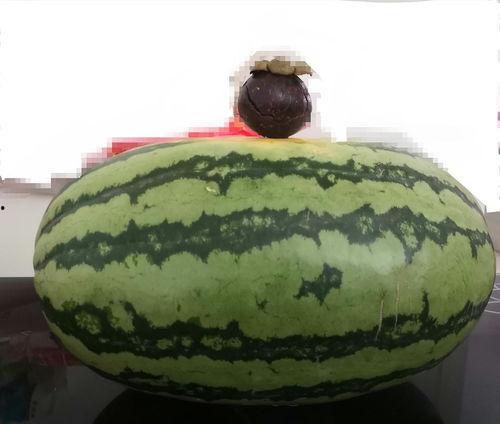 大家吃瓜的样子视频,一场视觉盛宴的“瓜”界狂欢